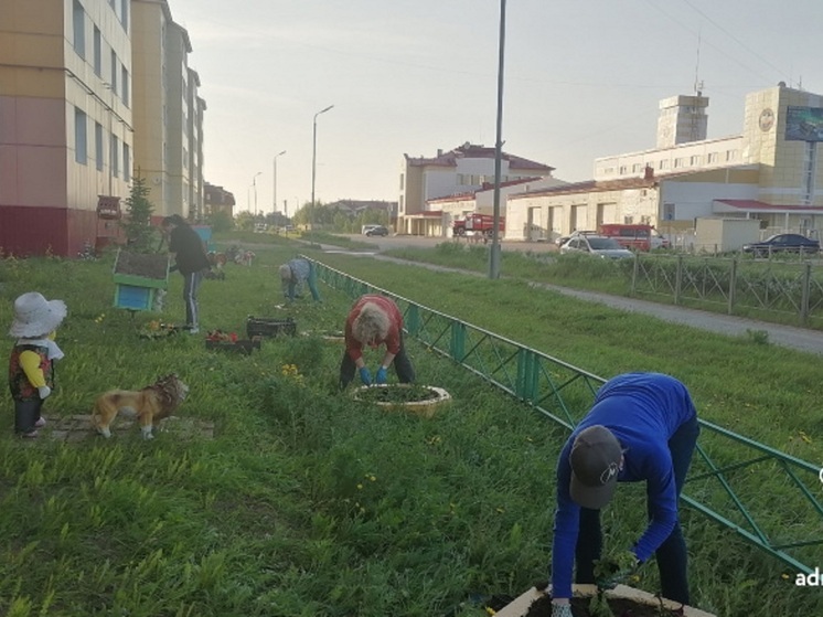 В Нарьян-Маре появились новые цветочные локации
