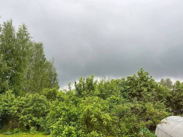 В День семьи, любви и верности Хакасию будет топить дождями