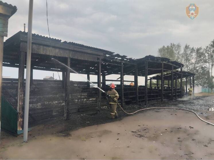 В Кижингинском районе Бурятии сгорел стадион