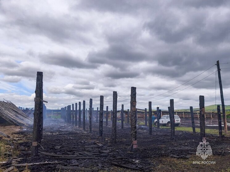 В Хакасии из-за удара молнии сгорела частная ферма