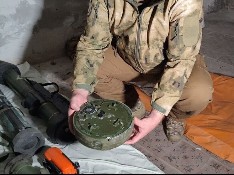 ТАСС: ВСУ перебросили мины на территорию РФ у границы с Харьковской областью