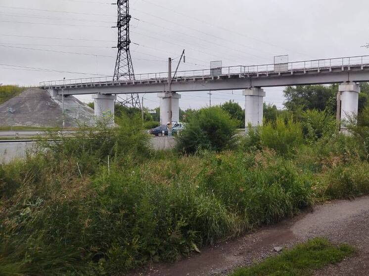 В Новоалтайске грузовой поезд сбил мужчину. Пострадавший в больнице