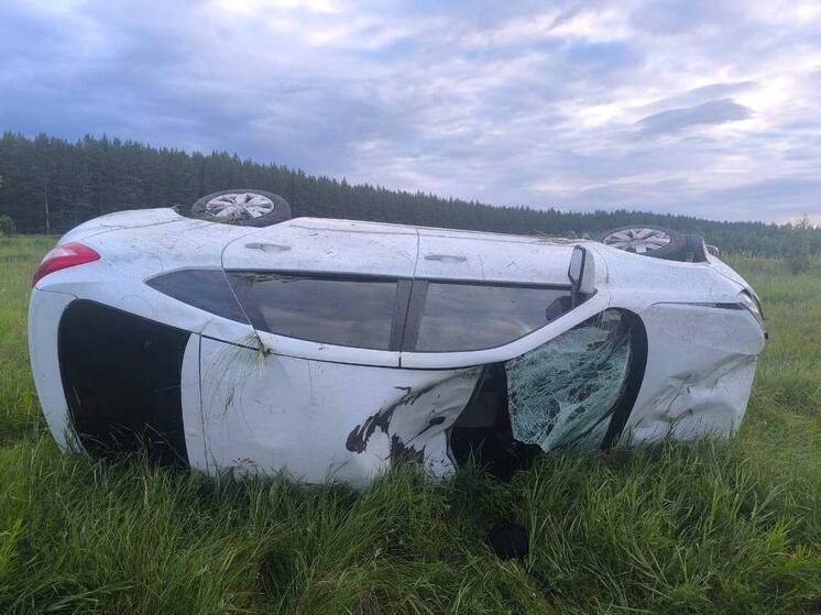 На Южном Урале автомобилист сбил лося и сам разбился на машине
