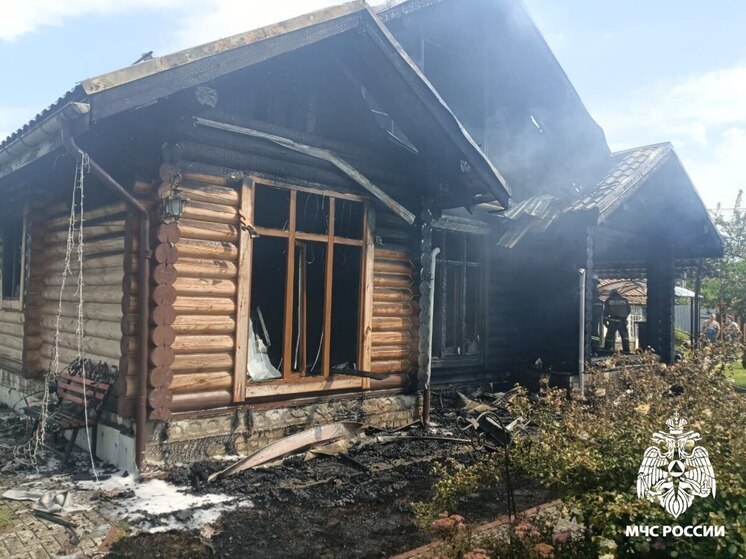 Брянские спасатели потушили пожар в клинцовском селе