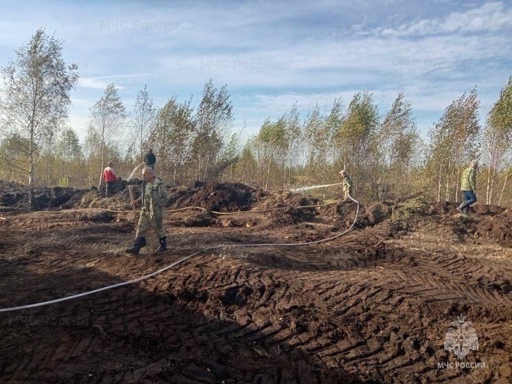 Костромские пожарные оперативно потушили лесной пожар в Мисковском лесничестве