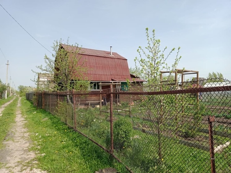 Так больше нельзя: топ-5 распространенных ошибок на даче, которые многие совершают постоянно