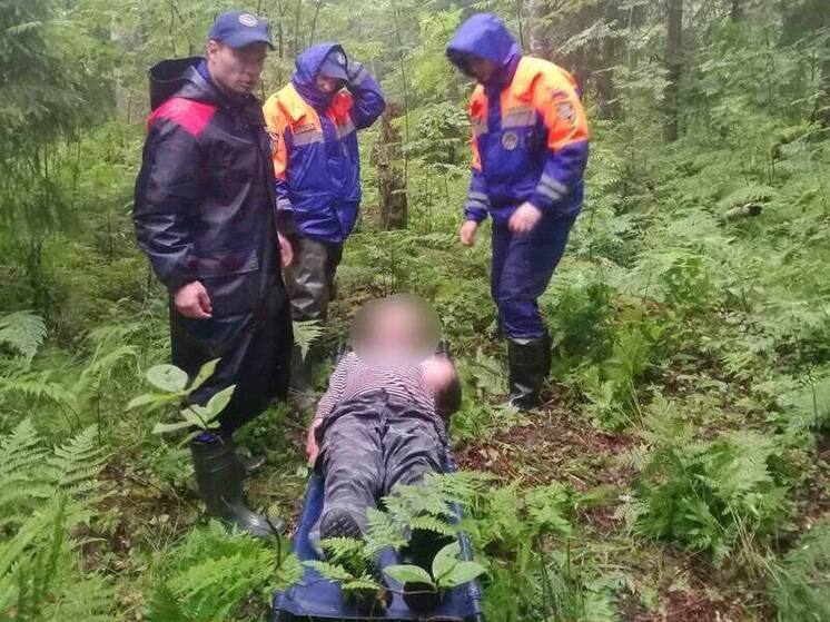 В Кировском районе нашли пропавшего в лесу мужчину