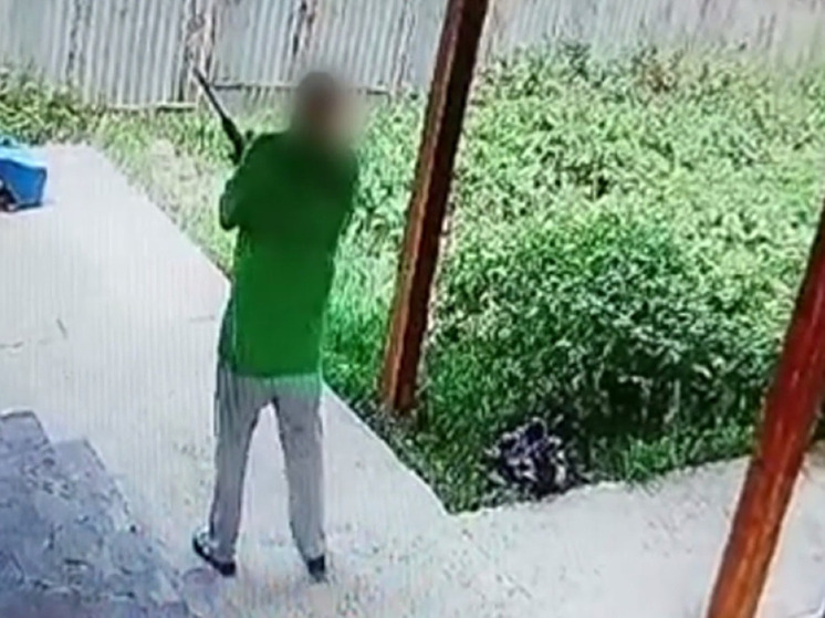 В Чехове мужчина охотился из ружья на жену во дворе частного дома