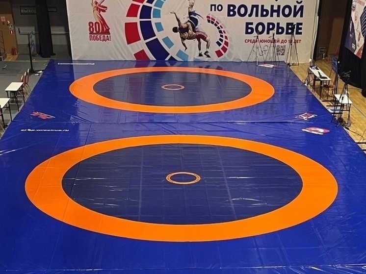На 22 мастера спорта в Воронежской области стало больше