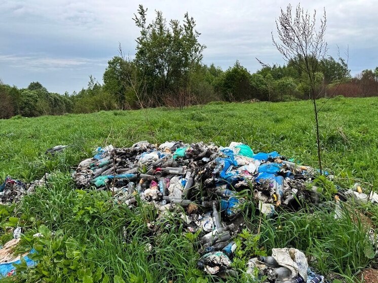 Свалку нашли в Великолукском районе