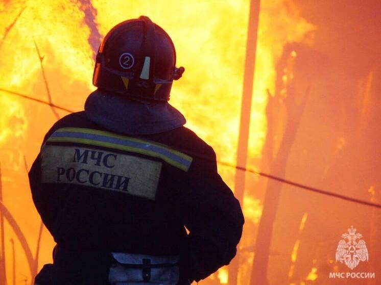 В ГУ МЧС по Самарской области предупредили об опасности лесных пожаров в жару