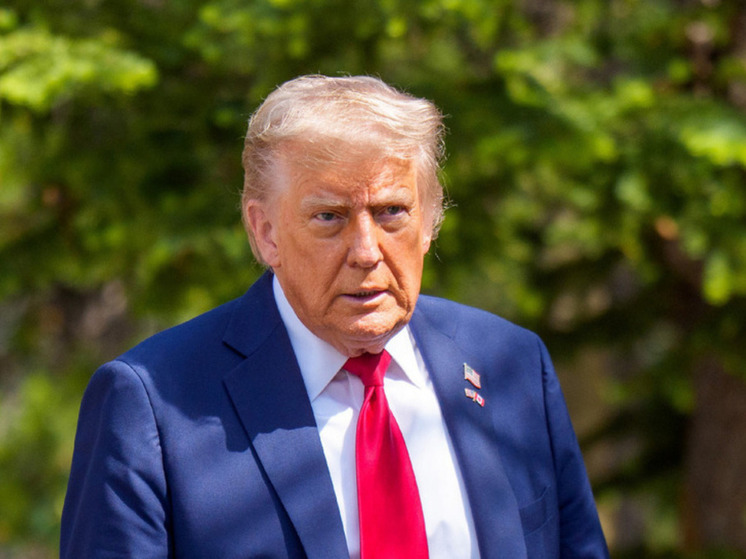 Пошлины президента США Дональда Трампа против членов БРИКС не окажут сильного влияния на экономику Российской Федерации, пишет The Telegraph