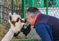 Об этом рассказали в социальных сетях зоопарка