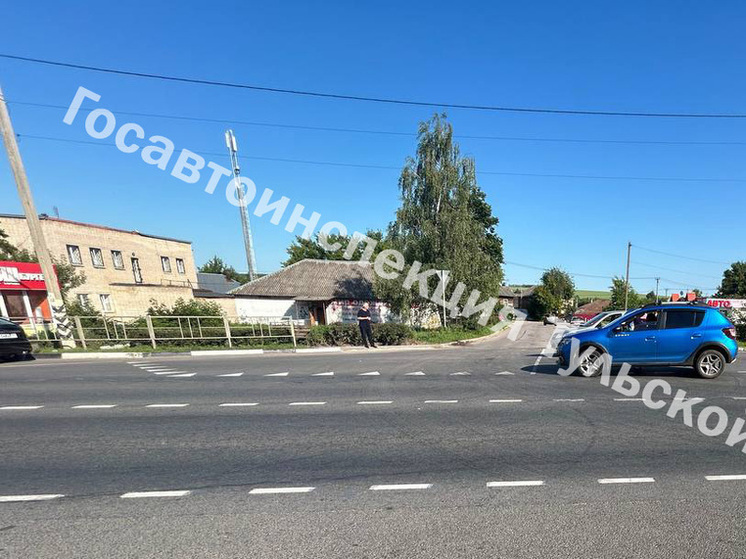 После наезда Renault под Тулой в больницу попала 11-летняя девочка