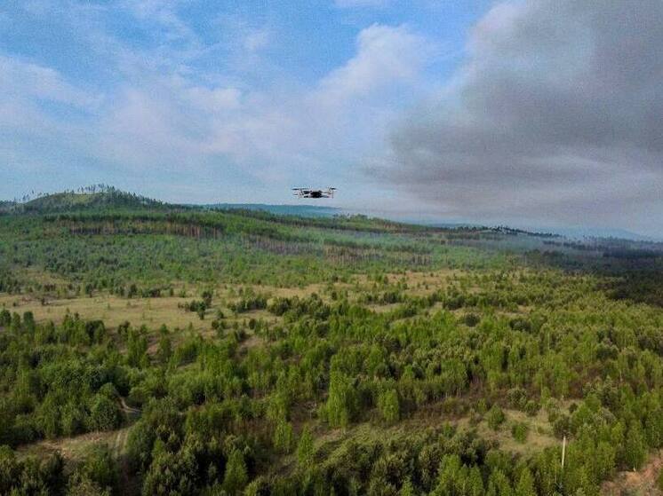 Квадрокоптер помог оперативно потушить лесной пожар в Бурятии