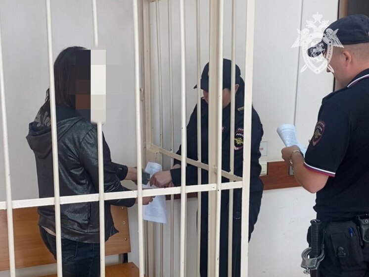 Жительницу Чебоксар заключили под стражу по обвинению в убийстве сожителя