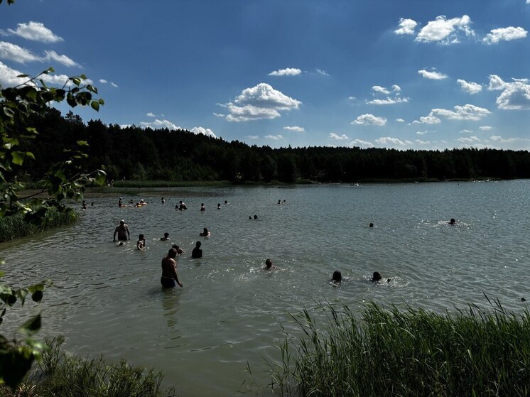 В Новосибирской области снизилось число происшествий и гибели людей на воде