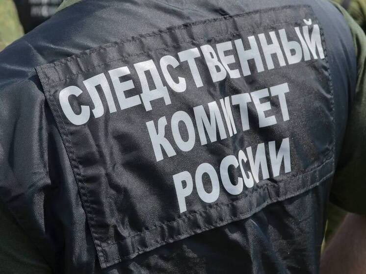 Бастрыкин поручил возбудить уголовное дело после наезда самокатчика на абаканку