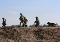 На днях наши военные освободили село Поддубное в ДНР