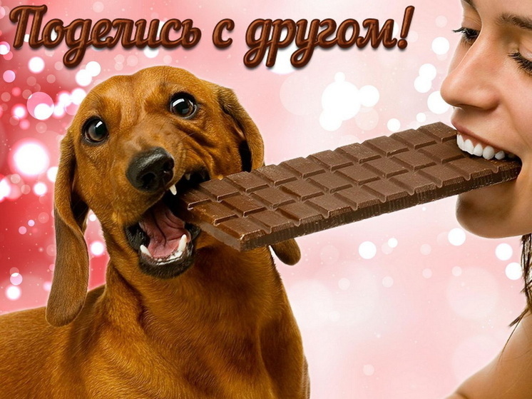 День шоколада 11 июля: красивые картинки, открытки с поздравлениями