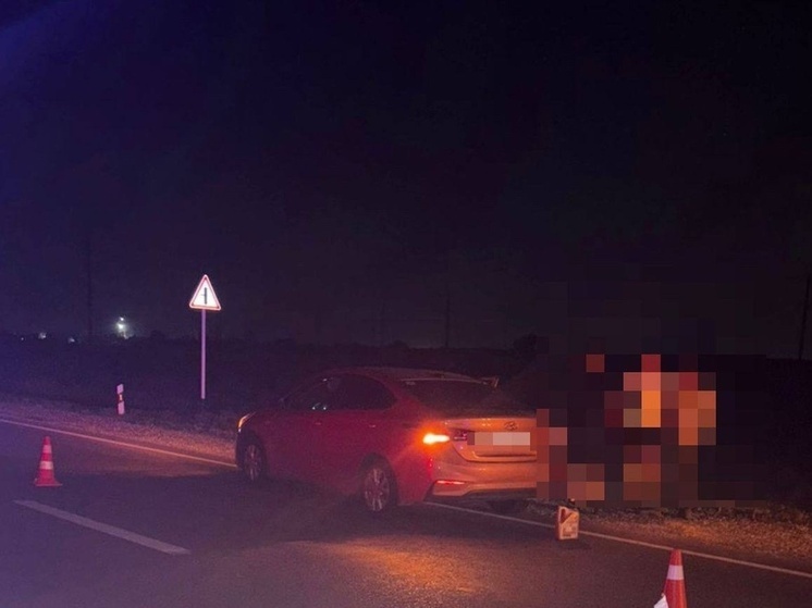 Донской водитель насмерть сбил 63-летнего велосипедиста в Ставропольском крае