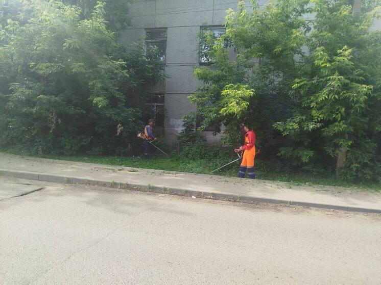 В Иркутске ежедневно косят траву и убирают мусор
