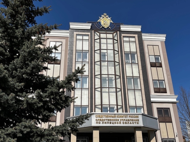 В Липецке директора коммерческой организации будут судить за неуплату налогов