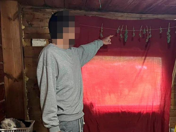 Житель Рязанской области организовал в доме оранжерею для выращивания конопли