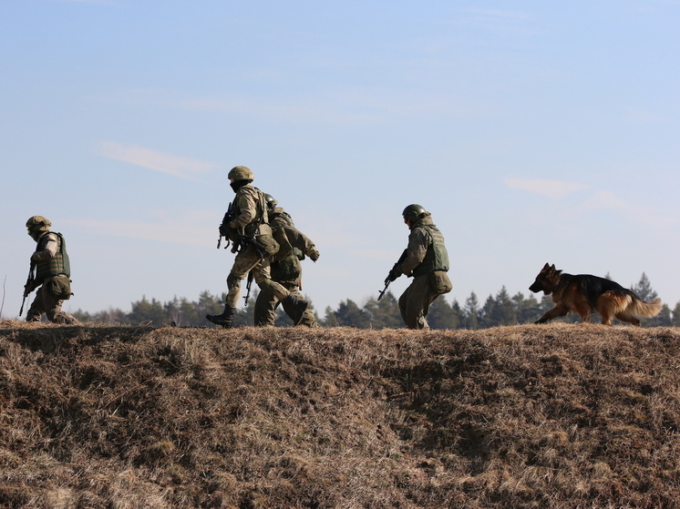 На днях наши военные освободили село Поддубное в ДНР