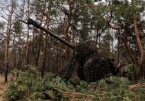 Беспилотная авиация в зоне СВО успешно конкурирует с артиллерией