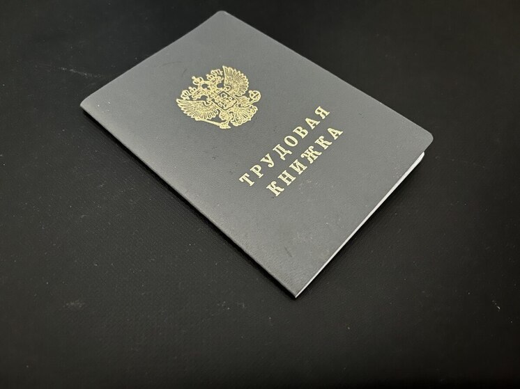 Новосибирцам рассказали, какие санкции могут быть за неофициальное трудоустройство