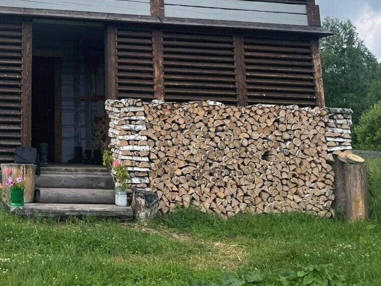 На Алтае мужчина незаконно нарубил два десятка берез на 317 тысяч рублей