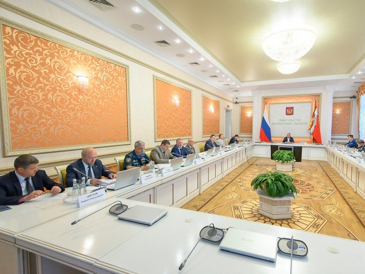 В Воронежской области запущена горячая линия для избирателей