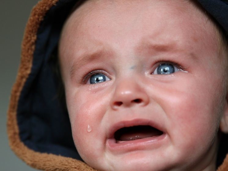 Калужан просят более гуманно относиться к детям