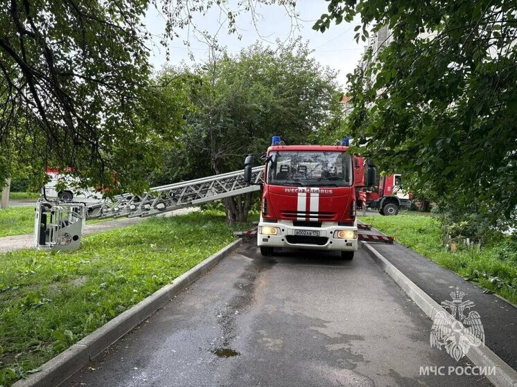 Пожарные вынесли ребенка из горящей квартиры в Челябинске
