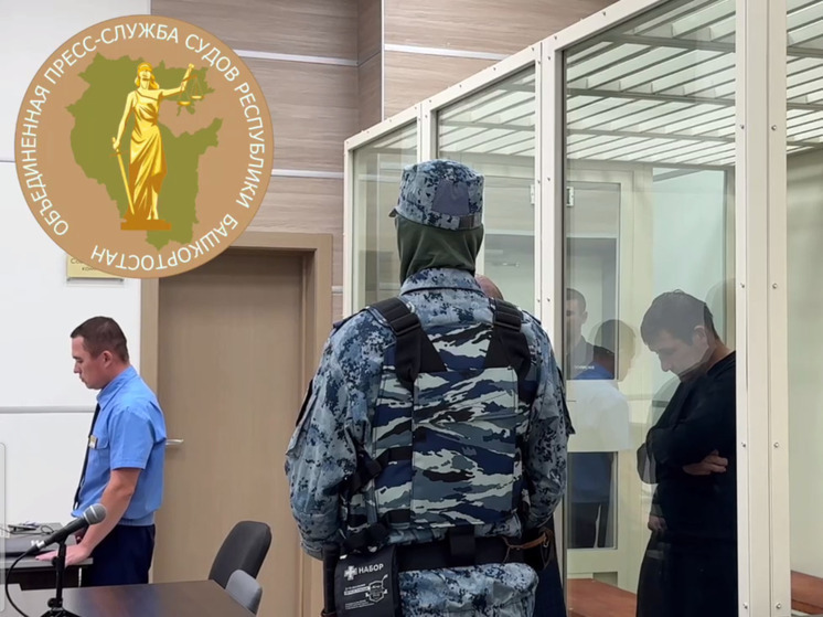 В Башкирии мужчину, убившего мать 47 ударами, признали виновным