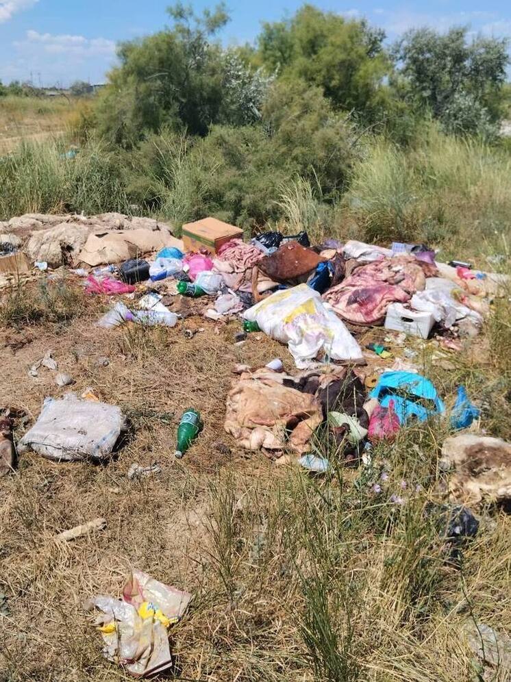 Свалку с биологическими отходами обнаружили у КОРа в Махачкале