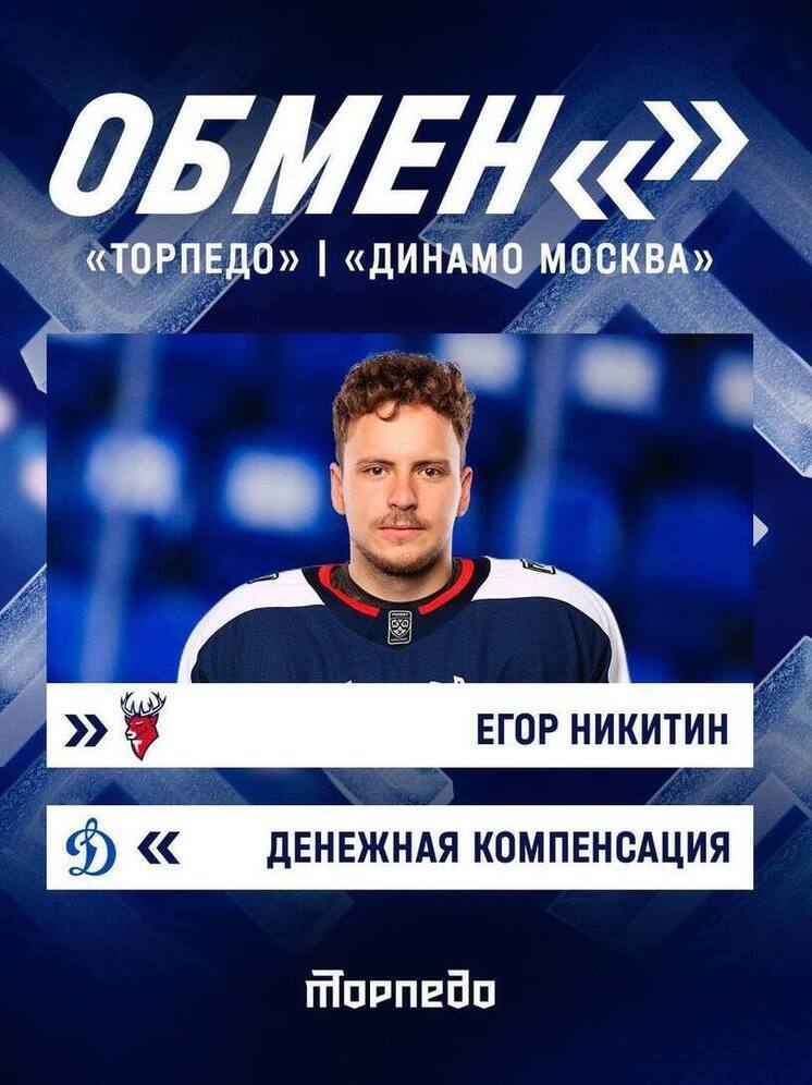Защитник «Динамо-СПб» Никитин продолжит карьеру в «Торпедо»