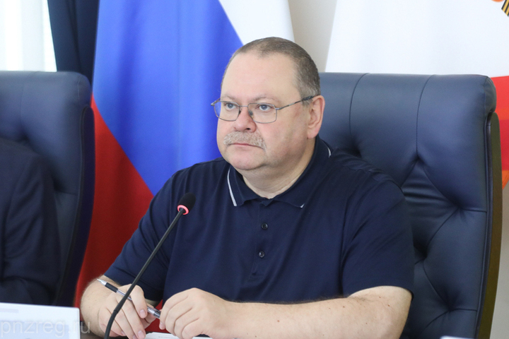 В Пензе по поручению главы региона упорядочат использование электросамокатов