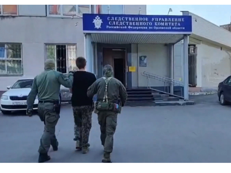 Орловец предстанет перед судом за дискредитацию ВС РФ и оскорбления ветеранов