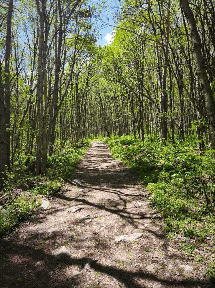В Калуге сохраняется жара