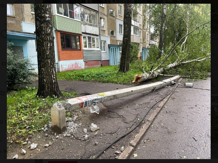 В Ярославле возбуждено уголовное дело по факту травмирования малолетнего при падении столба