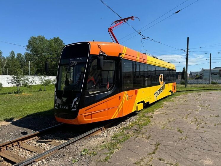 В Ярославле непогода парализовала движение электротранспорта