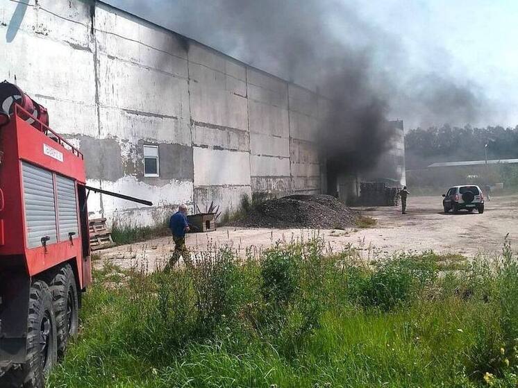 На предприятии под Рязанью произошёл пожар: погиб работник
