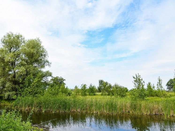 Народные приметы: чего нельзя делать 9 июля, в день Давида Земляничника