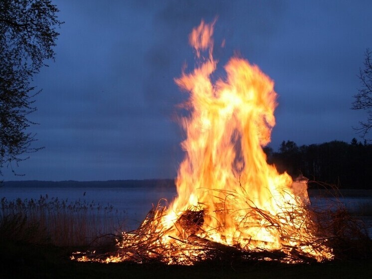 В Приморье усилена пожароопасная обстановка: введены ограничения на открытый огонь
