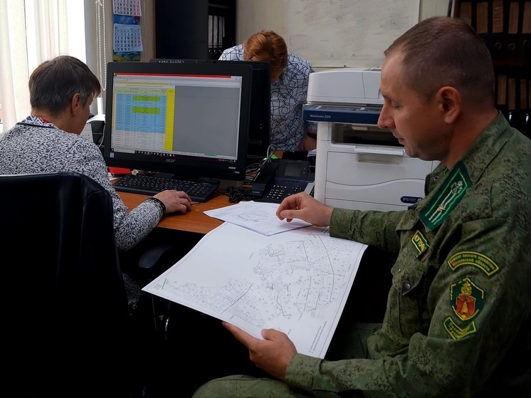 В Серпухове проводят обследование участков лесного фонда