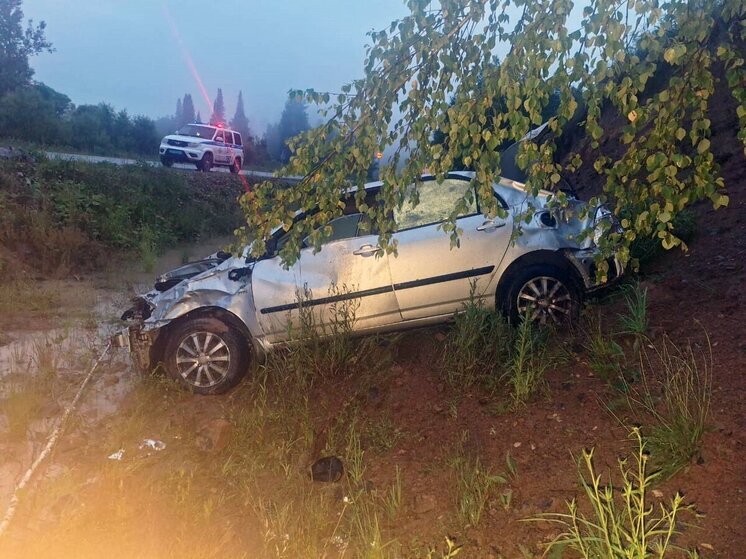 Пожилой житель Алтая погиб при ДТП со съездом с дороги