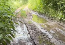 В Орловском муниципальном округе в деревне Нижний Хутор живут около 20 человек, более 25 домов