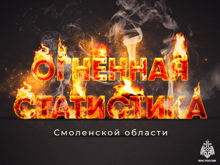 С начала текущего года в Смоленской области в результате пожаров погибли 29 человек